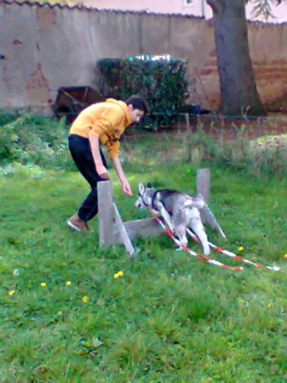 galerie education canin  (6)