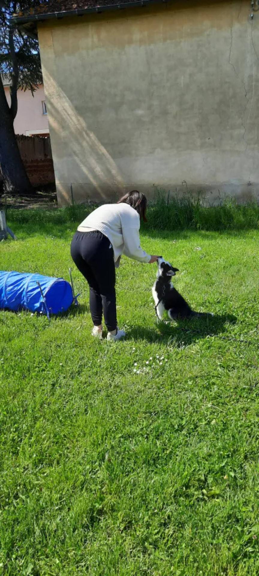 galerie education canin  (11)